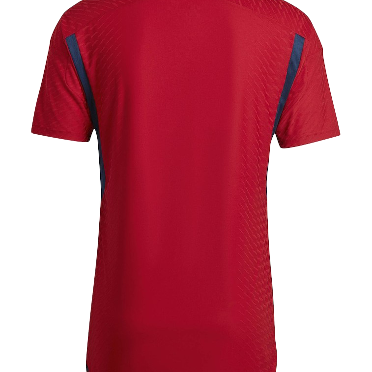 MAILLOT ESPAGNE DOMICILE 2022/2023